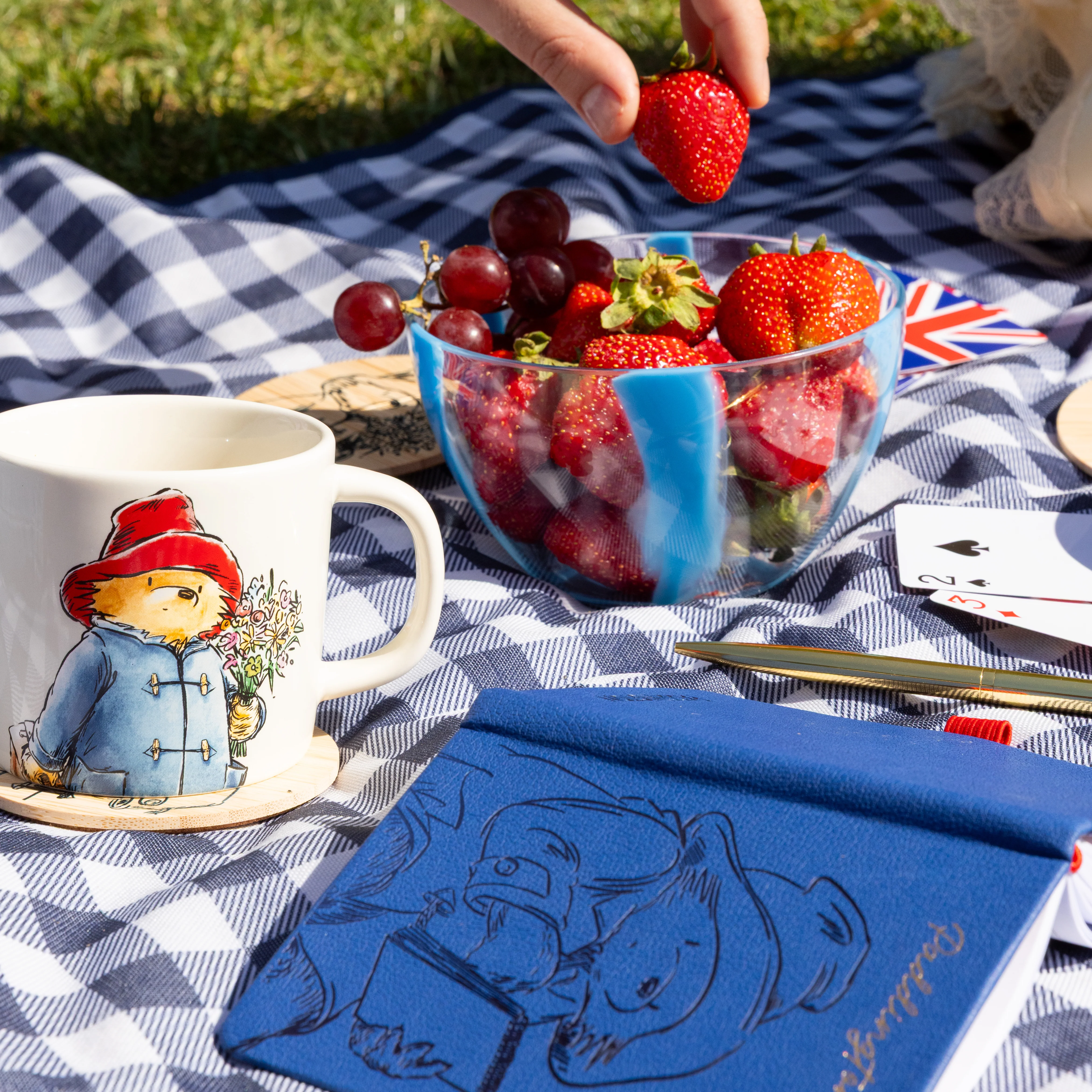 The Essential Paddington A6 Mini Notebook & Pen - Image 4