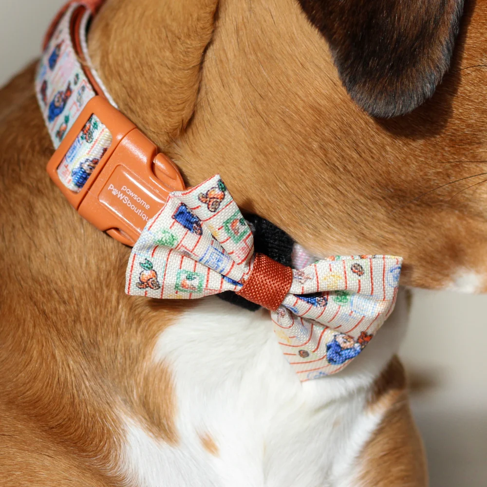 Paddington x Pawsome Paws Dog Bow Tie - Image 4