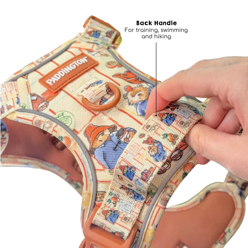 Paddington x Pawsome Paws Dog Harness - Image 10