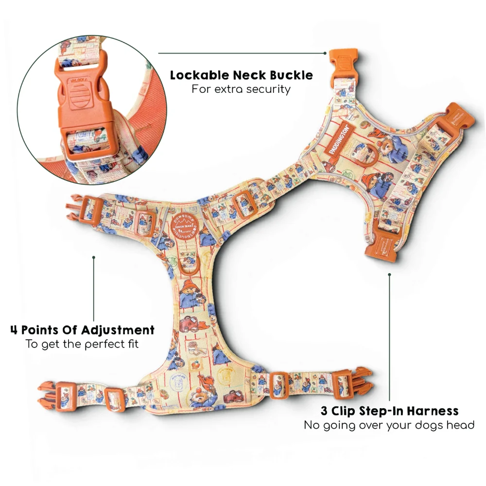 Paddington x Pawsome Paws Dog Harness - Image 12