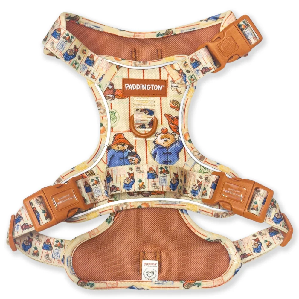 Paddington x Pawsome Paws Dog Harness - Image 4