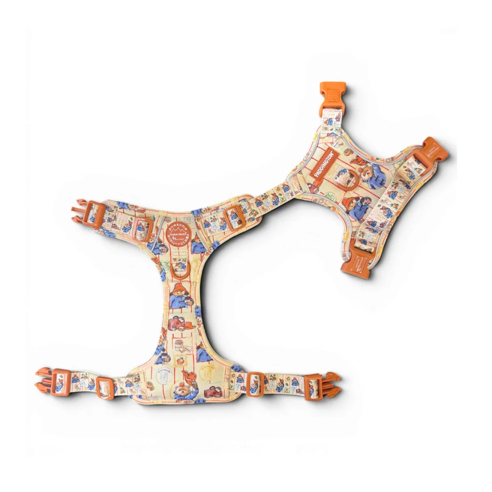 Paddington x Pawsome Paws Dog Harness - Image 5