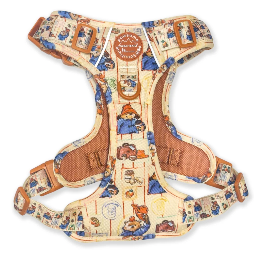Paddington x Pawsome Paws Dog Harness - Image 6