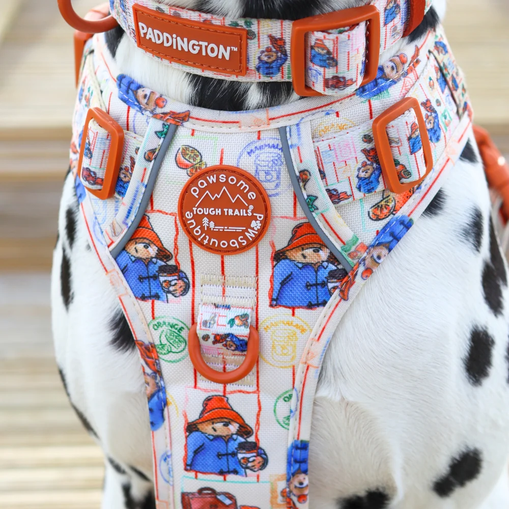 Paddington x Pawsome Paws Dog Harness - Image 8